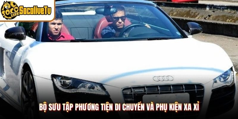 Bộ sưu tập phương tiện di chuyển và phụ kiện xa xỉ