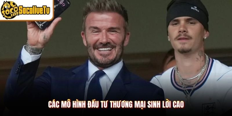 Các mô hình đầu tư thương mại sinh lời cao