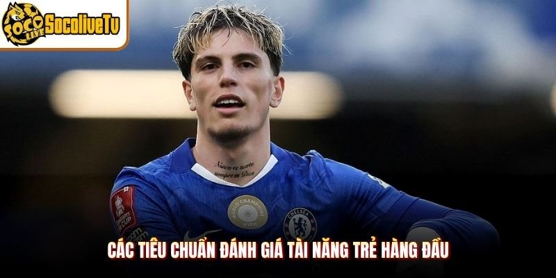Các tiêu chuẩn đánh giá tài năng trẻ hàng đầu