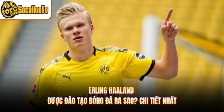 Erling Haaland Được Đào Tạo Bóng Đá Ra Sao? Chi Tiết Nhất