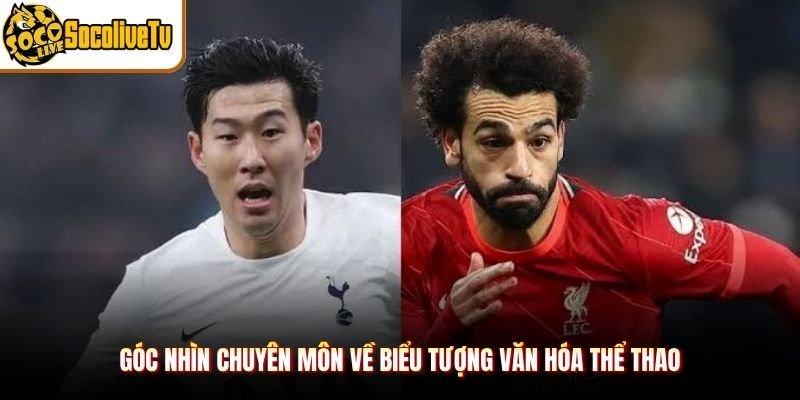 Góc nhìn chuyên môn về biểu tượng văn hóa thể thao
