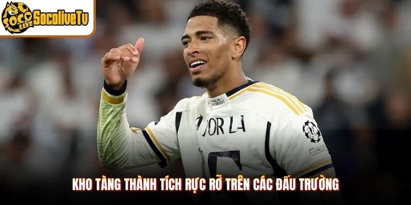 Kho tàng thành tích rực rỡ trên các đấu trường